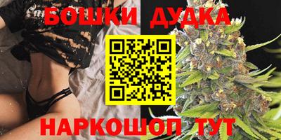 индика Обь