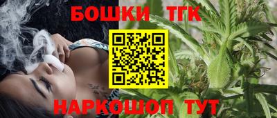 индика Обь