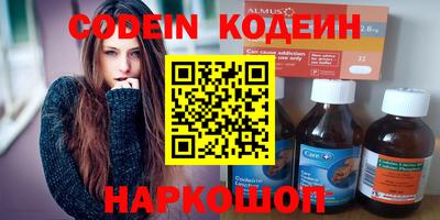 индика Обь