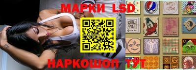 индика Обь